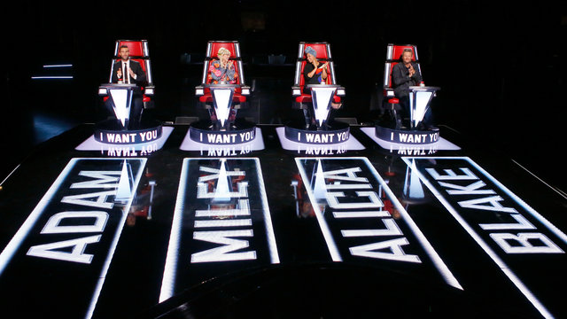 the voice audition