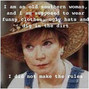 crazy southern lady quote